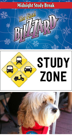 The Final Blizzard, Commuter Study Zone and Baxter the therapy dog