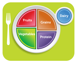 food group plate: healthy fruits, vegetables, protein, grains, dairy