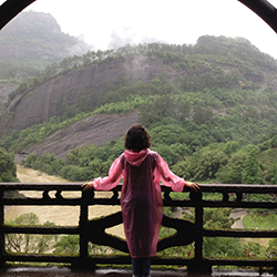 Woman overlooking a green hillside