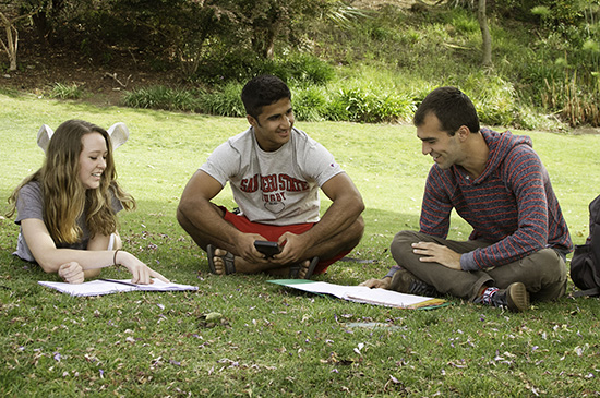 students studying on grass